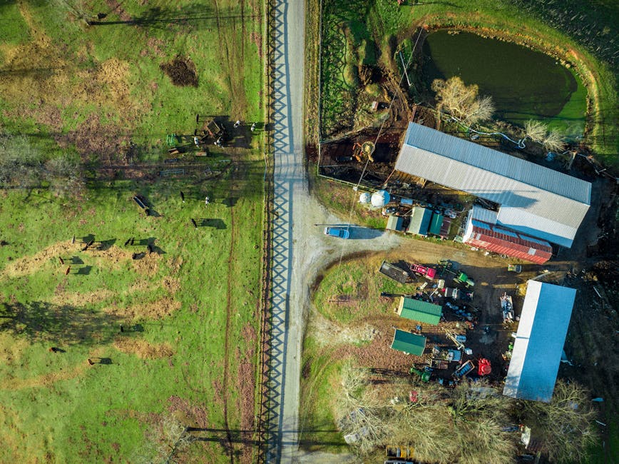 Aerial view of Chicken Road farm showing sustainable farming layout and diverse crops
