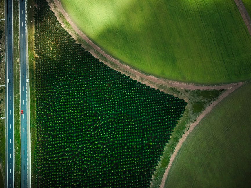 Aerial view of Chicken Road farm