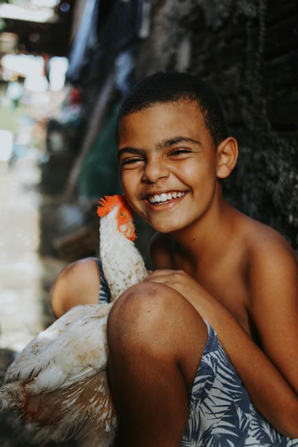 Happy children interacting with friendly chickens