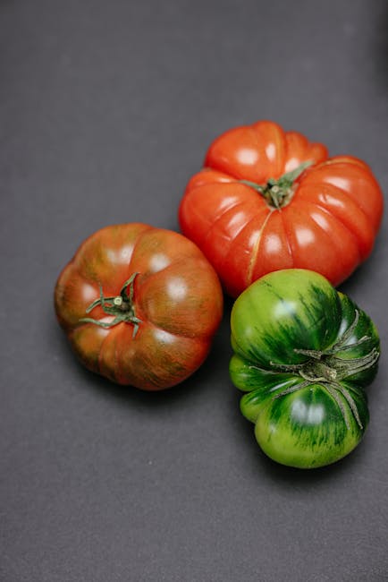 Seasonal cooking workshop using fresh ingredients from Chicken Road farm